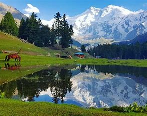 Base camp at Deosei Plateau Tour
